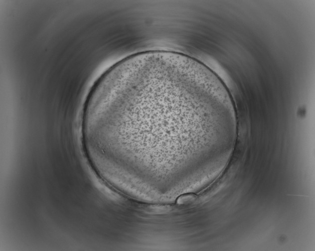 X0000101701144200807241426