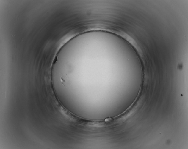 X0000101701145200807241426