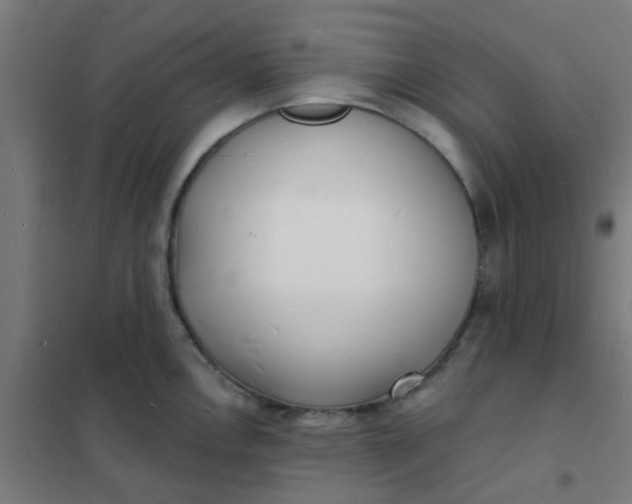 X0000101701146200807241426