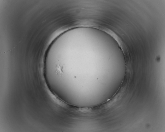 X0000101701147200807241426