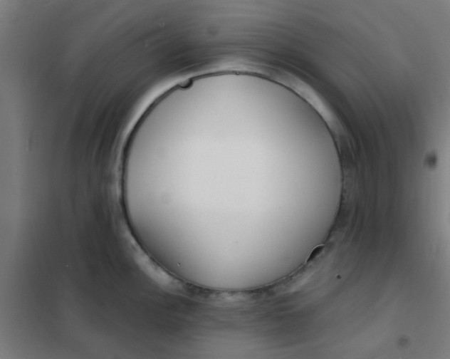 X0000101701148200807241426