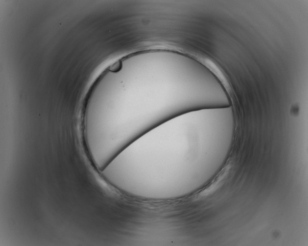 X0000101701149200807241426