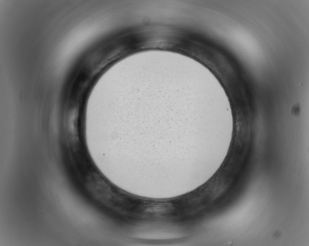 X0000101701150200807241426