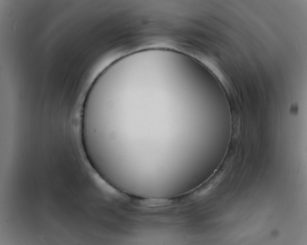 X0000101701151200807241426