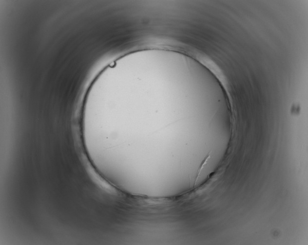 X0000101701152200807241426