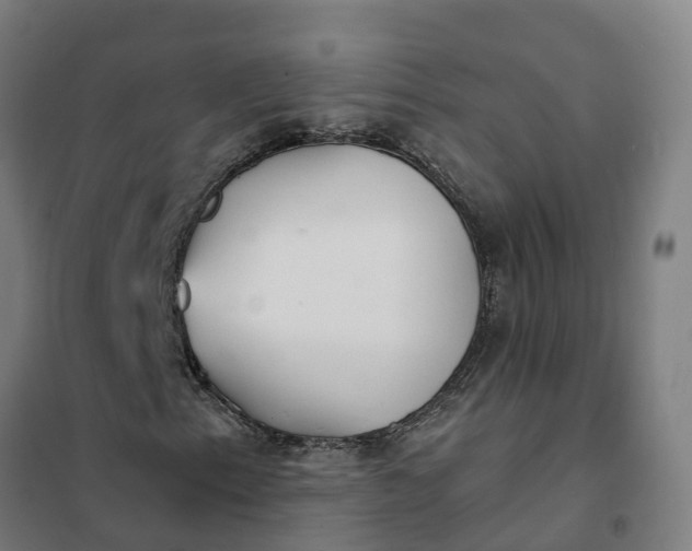 X0000101701153200807241425