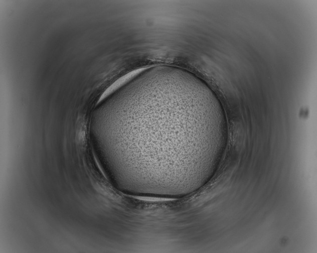 X0000101701154200807241425