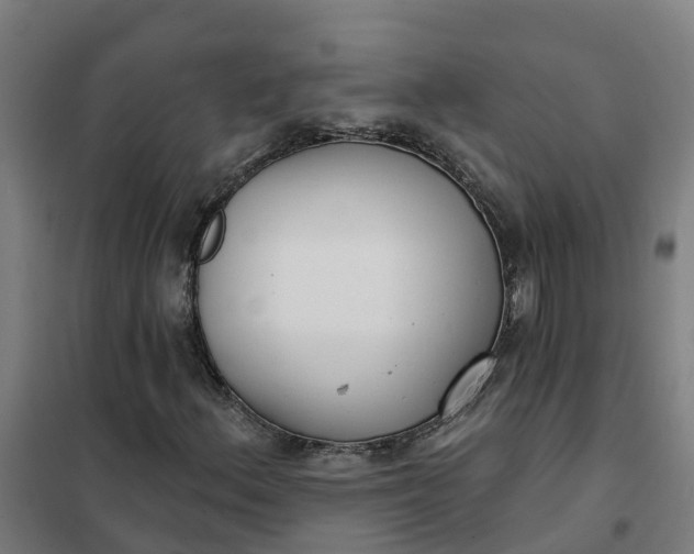 X0000101701156200807241425