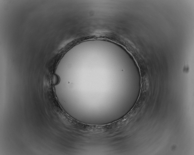 X0000101701158200807241425