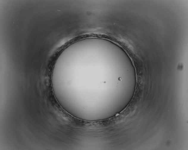 X0000101701159200807241425