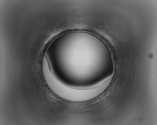 X0000101701160200807241425