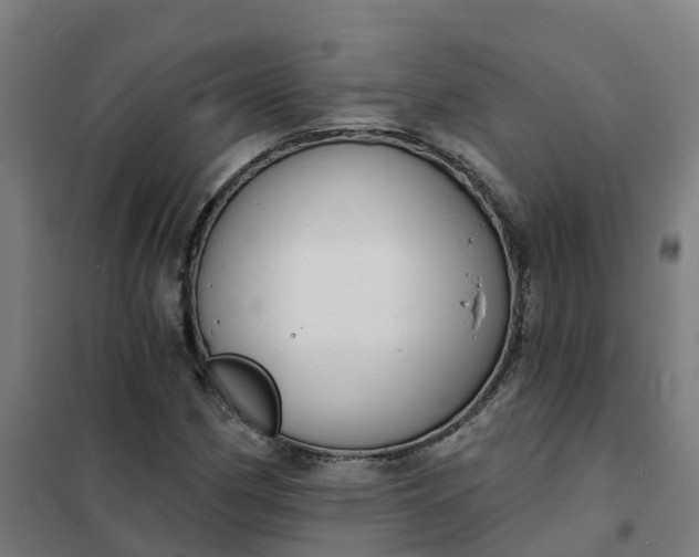 X0000101701162200807241425