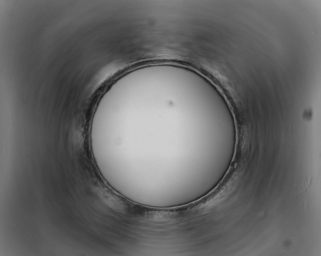 X0000101701163200807241425