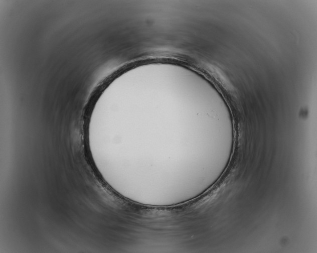 X0000101701164200807241425