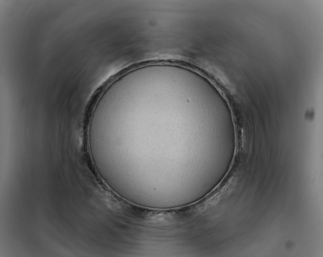 X0000101701165200807241425