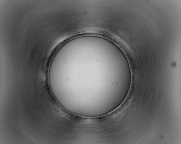 X0000101701166200807241425