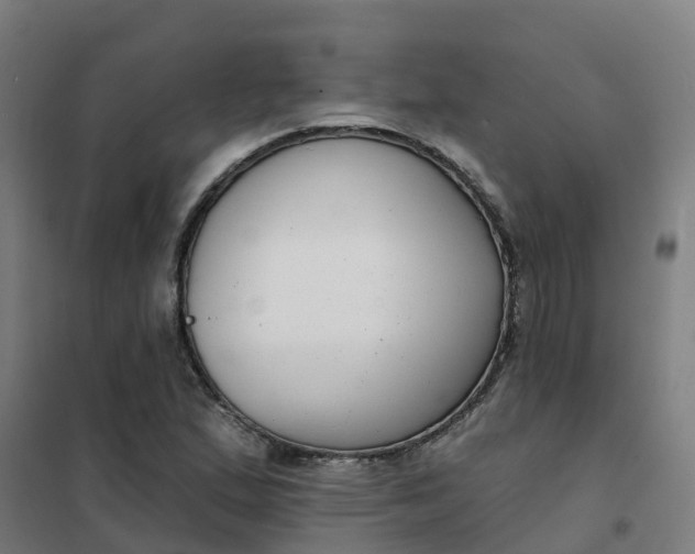 X0000101701167200807241425