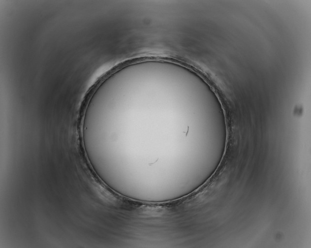 X0000101701168200807241425