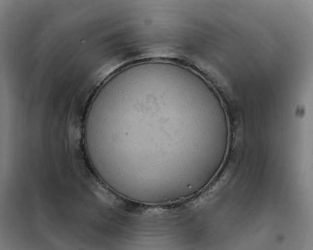 X0000101701169200807241425