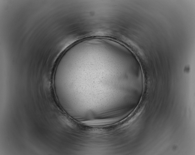 X0000101701170200807241425