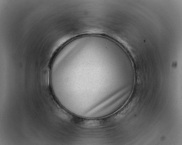 X0000101701171200807241425