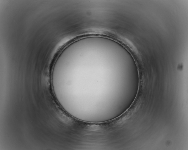 X0000101701172200807241425