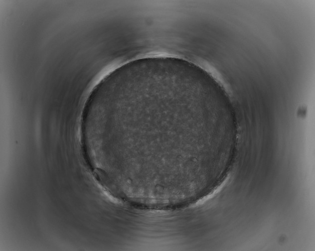 X0000101701173200807241425