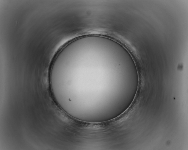 X0000101701174200807241425