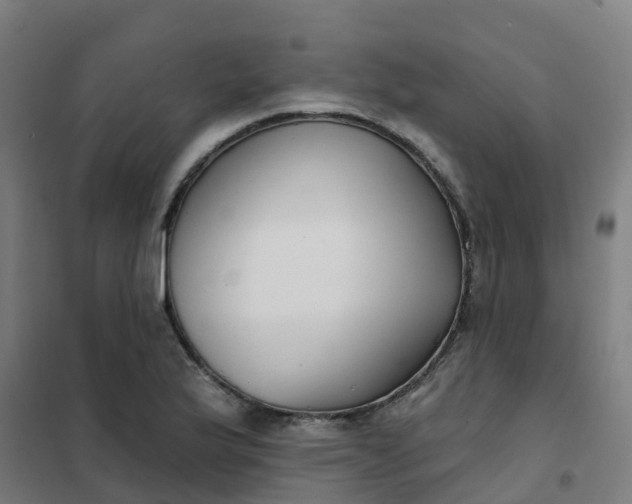 X0000101701175200807241425