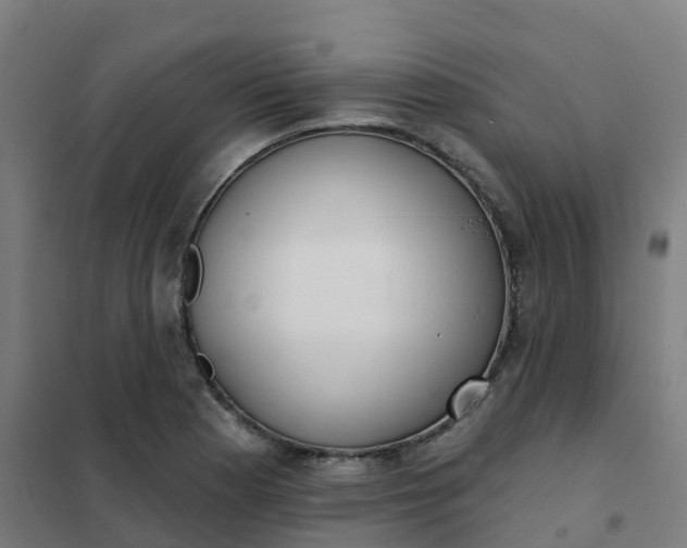 X0000101701177200807241425