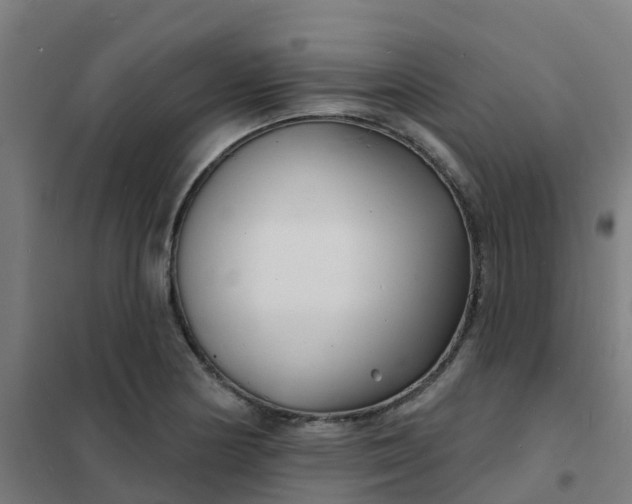 X0000101701178200807241425