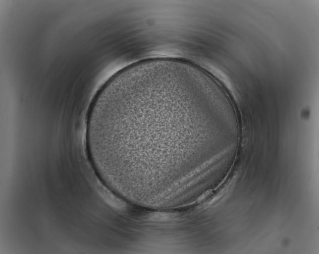 X0000101701179200807241425