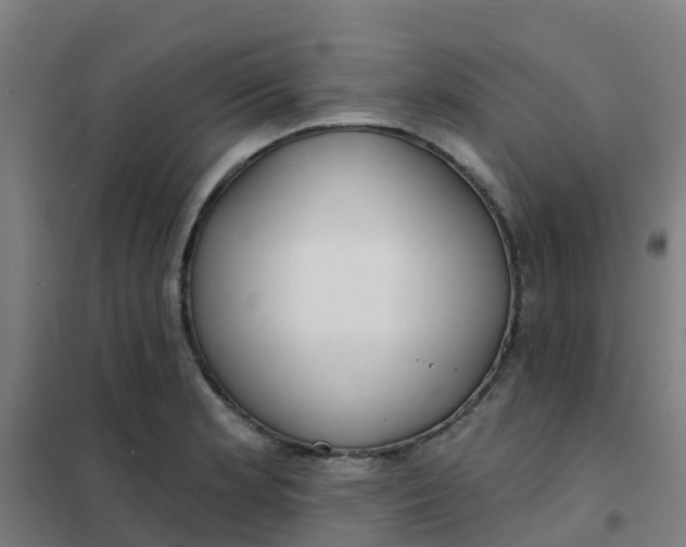 X0000101701181200807241425