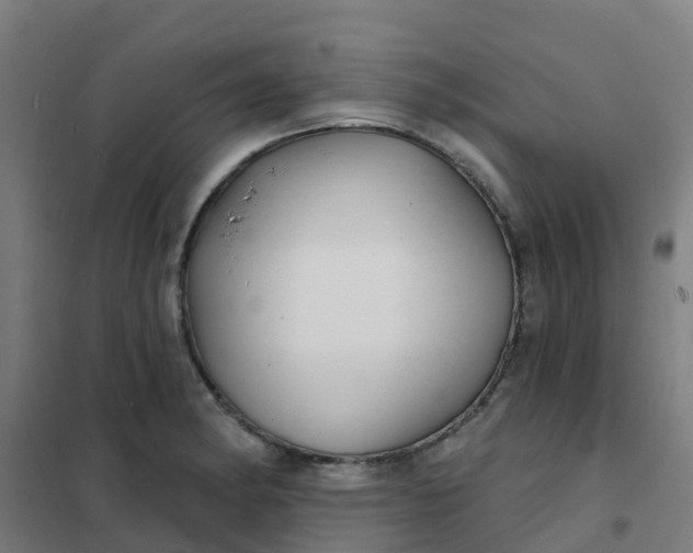 X0000101701182200807241425