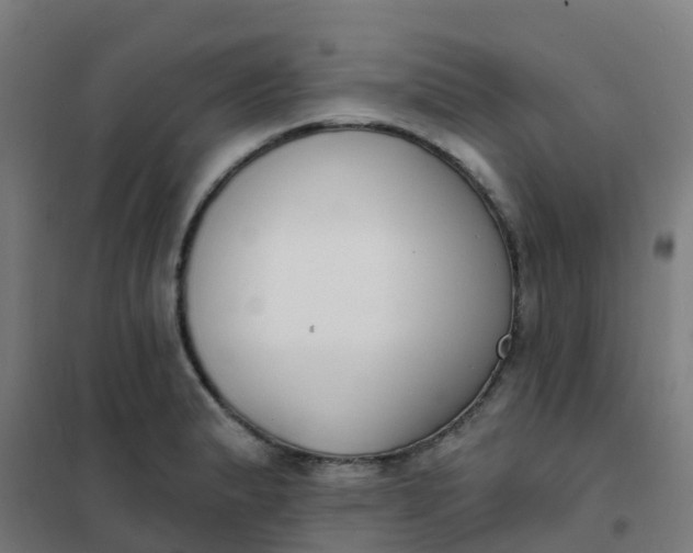 X0000101701183200807241425