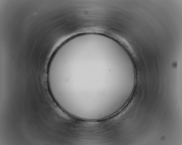 X0000101701184200807241425