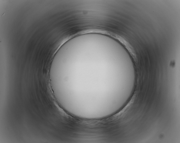 X0000101701185200807241425