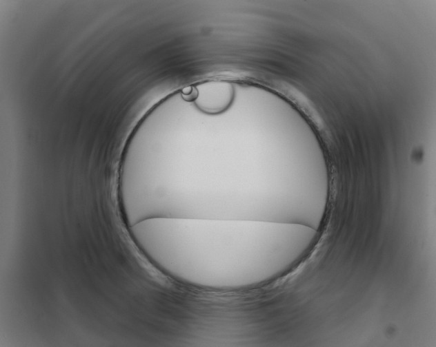 X0000101701186200807241425