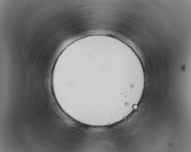 X0000101701187200807241425