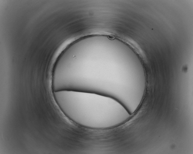 X0000101701188200807241425