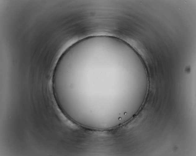 X0000101701189200807241425