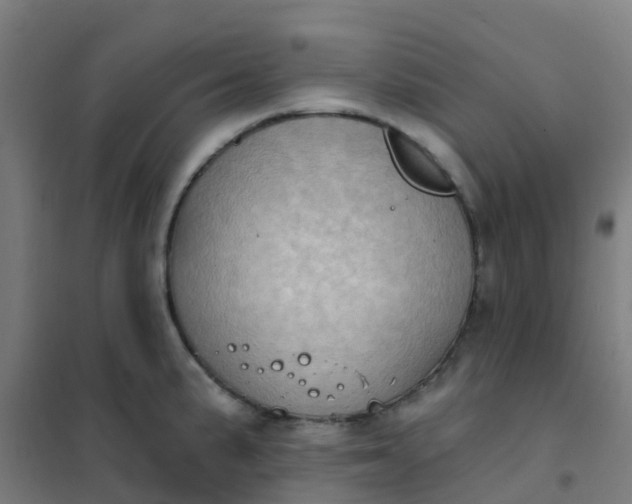 X0000101701191200807241425