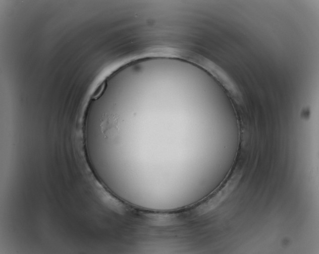 X0000101701192200807241425