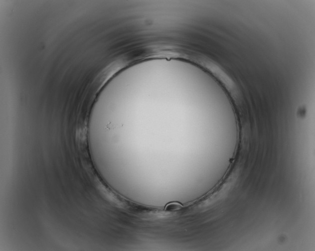 X0000101701193200807241425