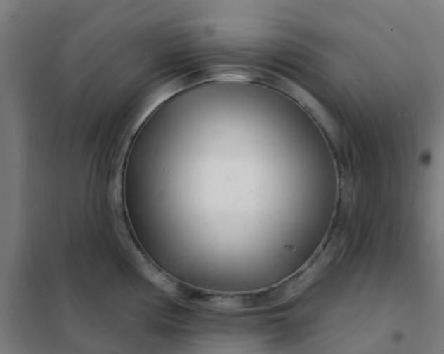 X0000101701194200807241425