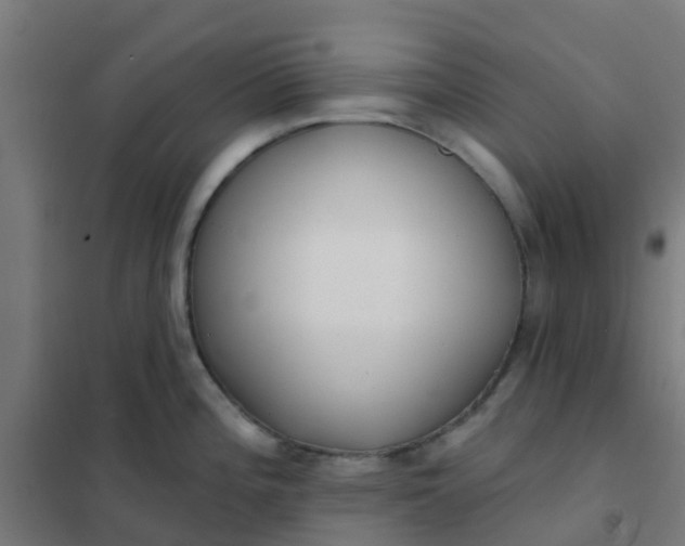 X0000101701196200807241424