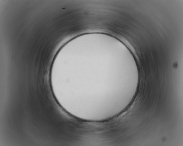 X0000101701197200807241424