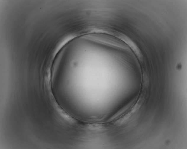 X0000101701198200807241424