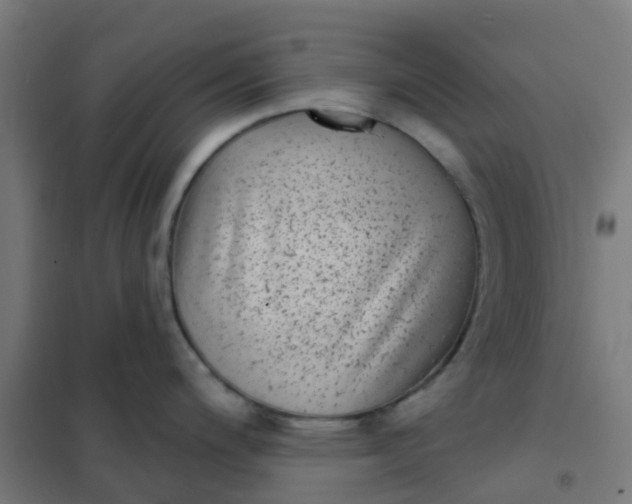 X0000101701200200807241424