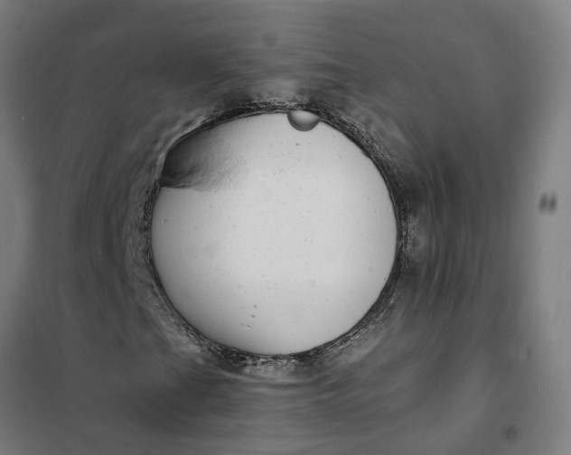 X0000101701201200807241424